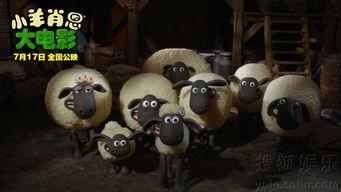 小羊爆料最新视频大全,最新视频大全精彩瞬间大盘点